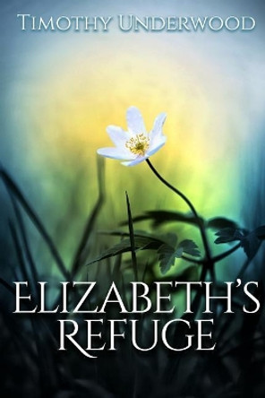 Elizabeth's Refuge: An Elizabeth and Darcy Story by Timothy Underwood 9781077265479