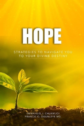 Hope: Strategies to Navigate You to Your Divine Destiny by Francis O Ogunleye MD M D 9781086384666