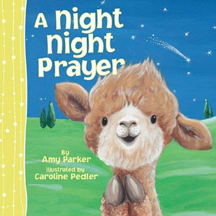 A Night Night Prayer by Amy Parker 9781400324316