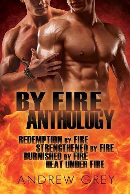 By Fire Anthology by Andrew Grey 9781641087018