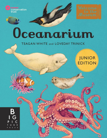 Oceanarium (Junior Edition) by Teagan White 9781800784895