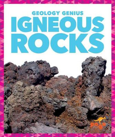 Igneous Rocks by Rebecca Pettiford 9781624968334