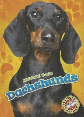 Dachshunds by Mari C Schuh 9781626172388
