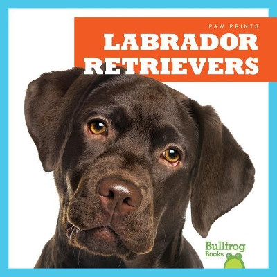 Labrador Retrievers by Jenna Lee Gleisner 9781624967788
