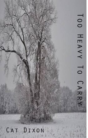 Too Heavy to Carry by Cat Dixon 9781622880560