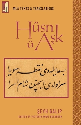 Husn u Ask by Victoria Rowe Holbrook 9780873529334