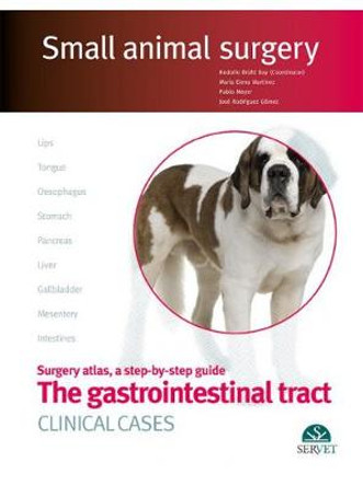The Gastrointestinal Tract. Clinical Cases. Small Animal Surgery by Rodolfo Bruhl Day