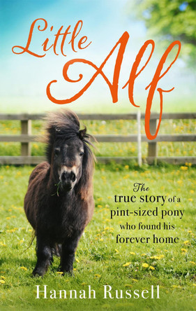 Little Alf: The true story of a pint-sized pony who found his forever home Hannah Russell 9780751568912