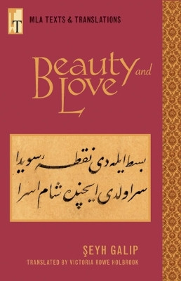 Beauty and Love by Victoria Rowe Holbrook 9780873529341