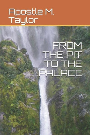 From the Pit to the Palace by Apostle M Taylor 9781072427957