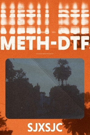 Meth-DTF. by Shane Jesse Christmass 9781088091982