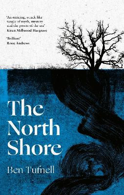 The North Shore: a stunning gothic debut by Ben Tufnell 9780349727318