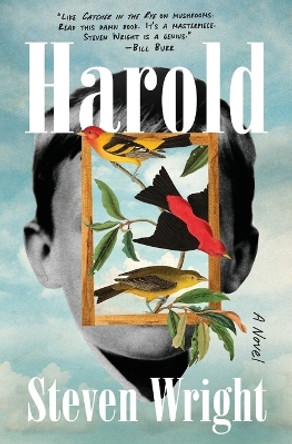 Harold by Steven Wright 9781668022702