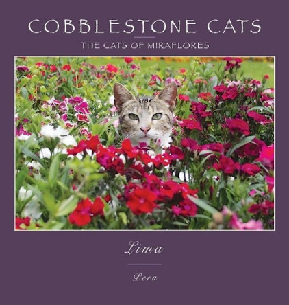 Cobblestone Cats - Mf by Alan Panattoni 9780991230013