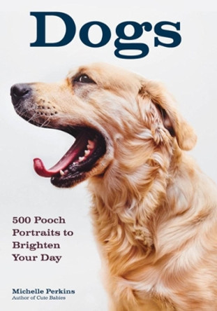 Dogs: 500 Pooch Portraits to Brighten Your Day by Michelle Perkins 9781682033326