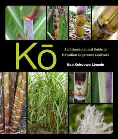 Kō: An Ethnobotanical Guide to Hawaiian Sugarcane Cultivars by Noa Kekuewa Lincoln 9780824873363