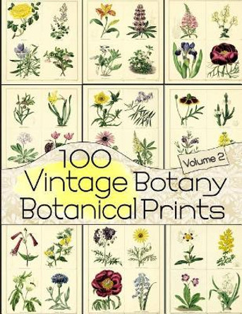 100 Vintage Botany Botanical Prints Volume 2 by C Anders 9781071101742