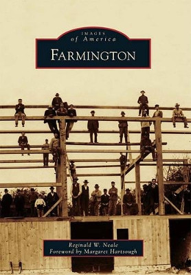 Farmington by Reginald W Neale 9780738573564