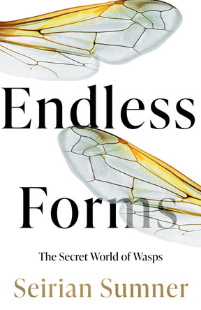 Endless Forms: Why We Should Love Wasps by Seirian Sumner 9780008394479