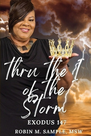 thru the I of the storm by Robin M Sample 9781087976563
