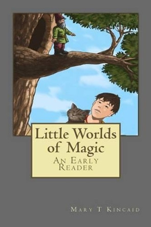 Little Worlds of Magic by Mary T Kincaid 9780997148800