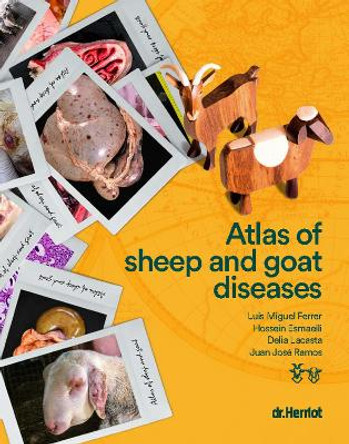 Atlas of Sheep and Goat Diseases by Luis Miguel Ferrer 9788409378944