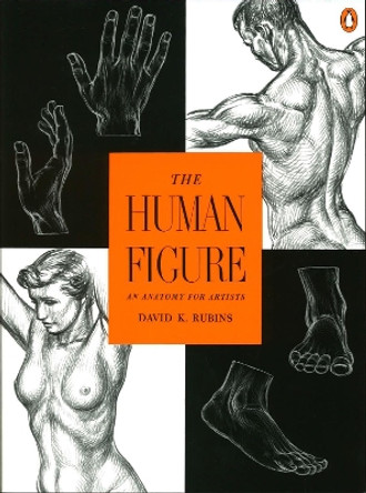 The Human Figure: An Anatomy for Artists by David K. Rubins 9780140042436