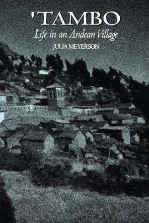 'Tambo: Life in an Andean Village by Julia Meyerson