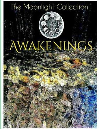 The Moonlight Collection of Awakenings by V Saldana 9781096699668