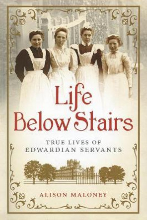 Life Below Stairs by Alison Maloney 9781250017659