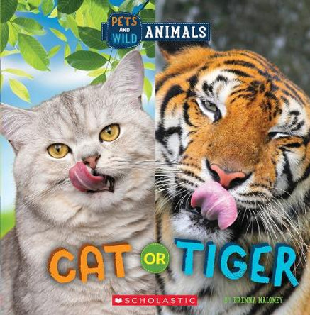 Cat or Tiger (Wild World: Pets and Wild Animals) by Brenna Maloney 9781338899788