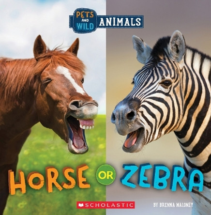 Horse or Zebra (Wild World: Pets and Wild Animals) by Brenna Maloney 9781338899849