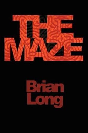 The Maze by Brian Long 9781403311795