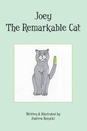 Joey The Remarkable Cat by Andrew Rozycki 9781419633782