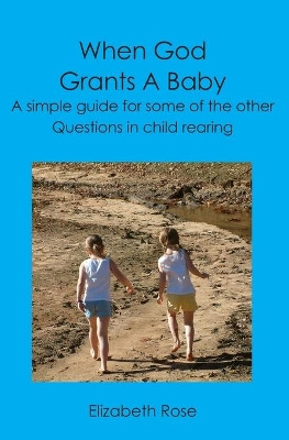 When God Grants A Baby: A simple guide for some of the other questions in child rearing by Elizabeth Rose 9781419655272