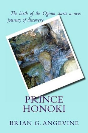 Prince Honoki by Brian Angevine 9781434858610