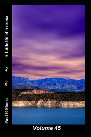 A Little Bit of Arizona: Volume 45 by Paul B Moore 9781099485862