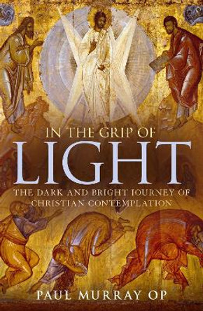 In the Grip of Light: The Dark and Bright Journey of Christian Contemplation by Dr. Paul Murray 9781441145505