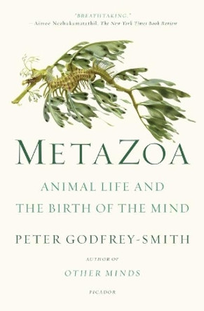 Metazoa: Animal Life and the Birth of the Mind by Peter Godfrey-Smith 9781250800268