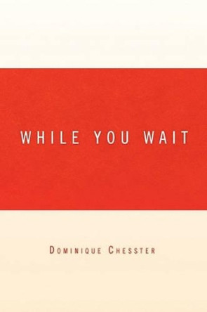 While You Wait by Dominique Chesster 9781441582508