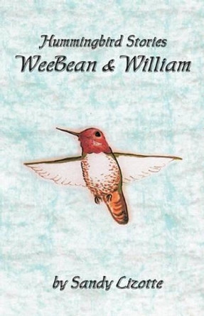 Hummingbird Stories - WeeBean & William: Hummingbird baby and a little boy by Sandy Lizotte 9781448651856