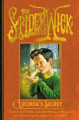 Lucinda's Secret by Holly Black 9781398527300