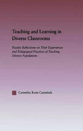 Teaching and Learning in Diverse Classrooms: Faculty Reflections on their Experiences and Pedagogical Practices of Teaching Diverse Populations by Carmelita Rosie Castaneda