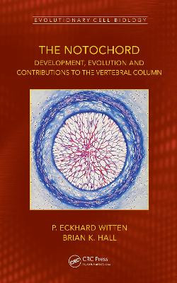 The Notochord: Development, Evolution and contributions to the vertebral column by P. Eckhard Witten 9781032162683