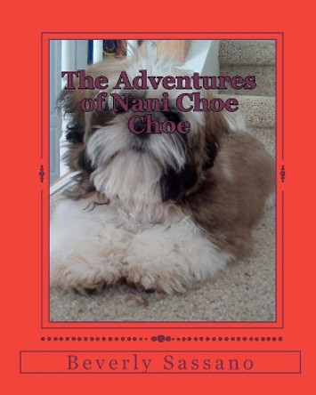 The Adventures of Nani Choe Choe by Beverly Sassano 9781453885338