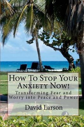 How To Stop Your Anxiety Now: Transforming Fear and Worry into Peace and Power by David A Larson MS 9781456362799