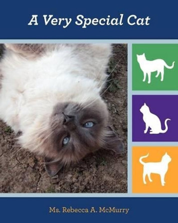 A Very Special Cat by Rebecca a McMurry 9781463734602