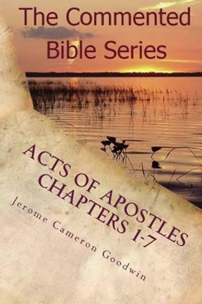 Acts of Apostles Chapters 1-7: Keep on Bearing Witness to the Truth by Jerome Cameron Goodwin 9781463794132