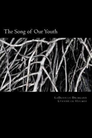 The Song of Our Youth by Lynndrick Holmes 9781468096101