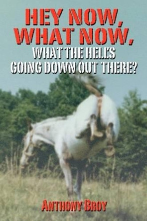 Hey Now, What Now: What The Hell's Going Down Out There? by Anthony Broy 9781469961071